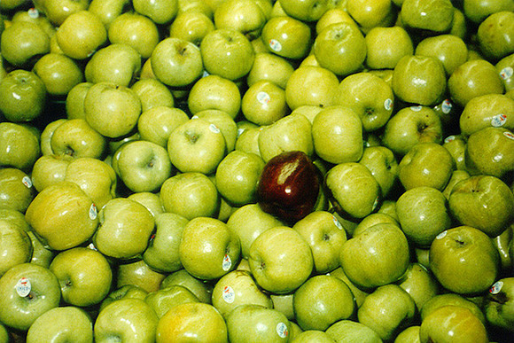 Apples 3