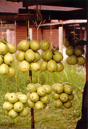 Produce 2