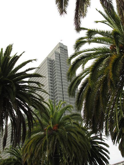 San Francisco Downtown 25