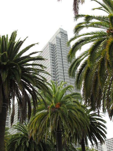 San Francisco Downtown 26