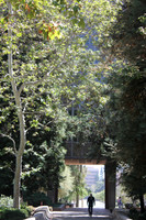 UCLA Campus 17