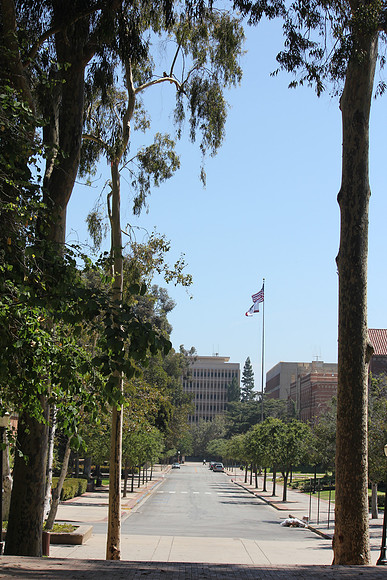 UCLA Campus 20