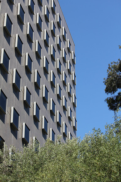 UCLA Campus 22