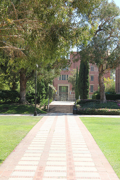 UCLA Campus 26