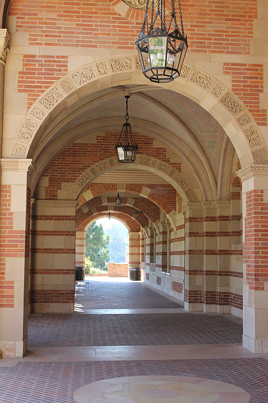 UCLA Campus 29