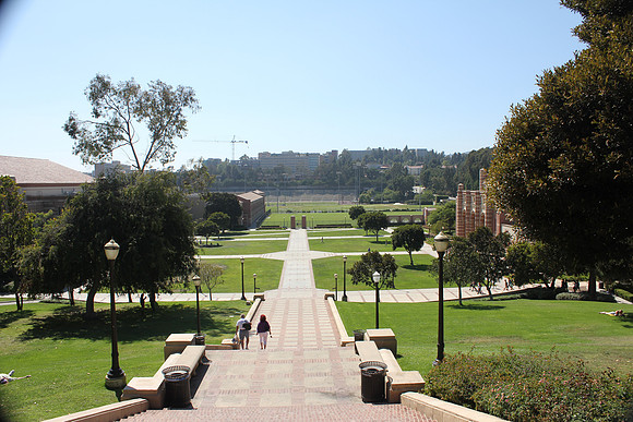 UCLA Campus 33