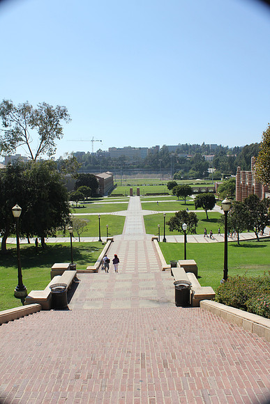 UCLA Campus 34