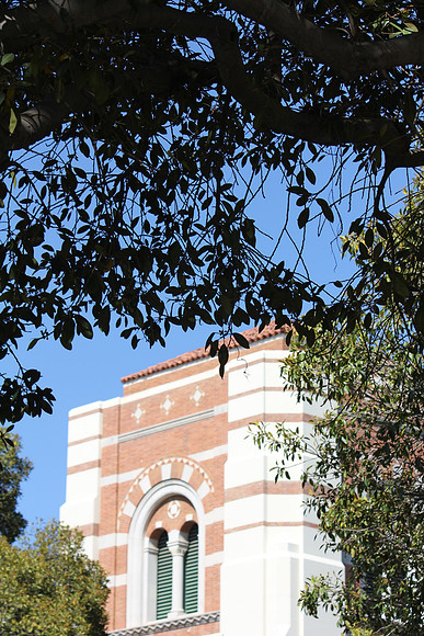 UCLA Campus 38