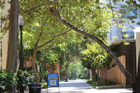 UCLA Campus 2