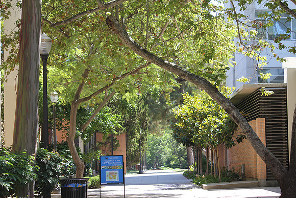 UCLA Campus 2