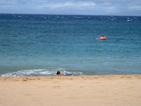 Maui 5