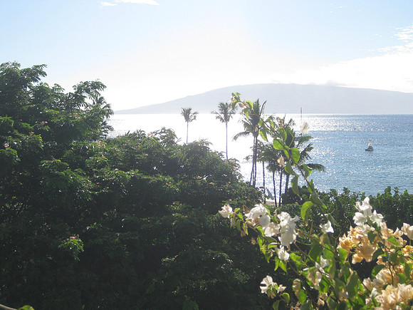 Maui 12