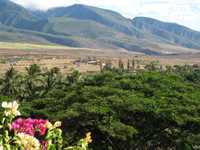 Maui 13