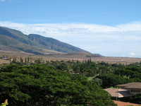 Maui 14