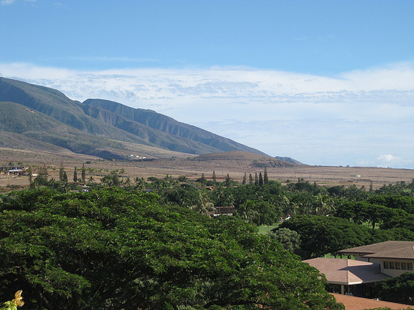 Maui 14