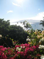 Maui 11