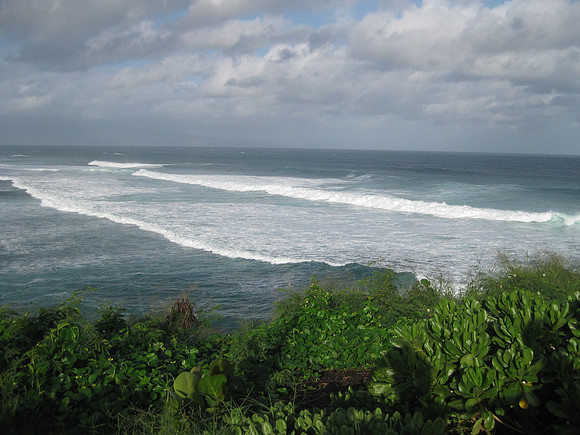 Maui 15