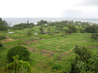 Maui 18