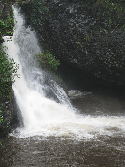 Maui 20