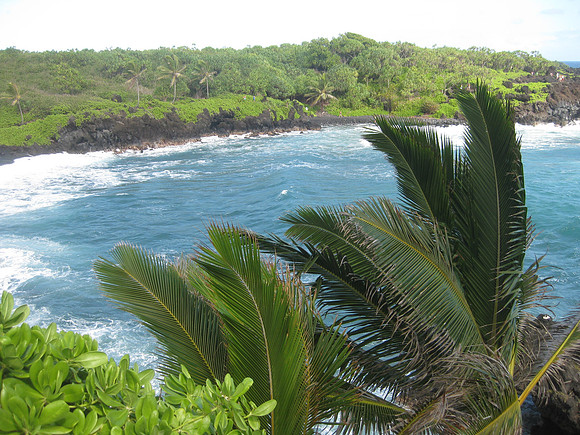 Maui 32