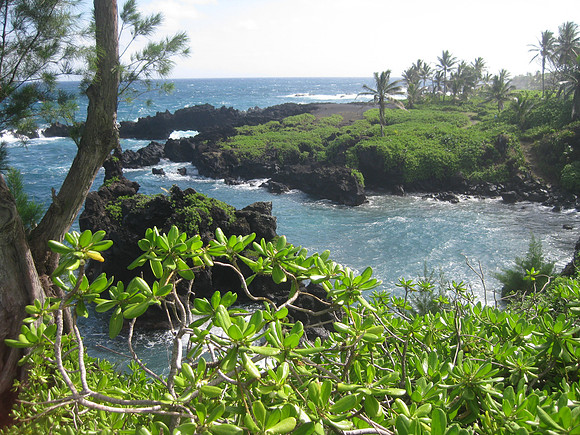 Maui 33