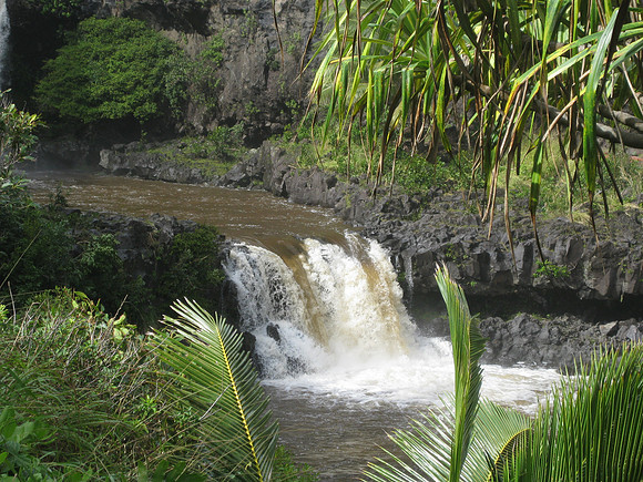Maui 46