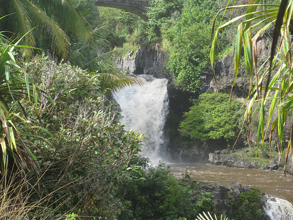Maui 47