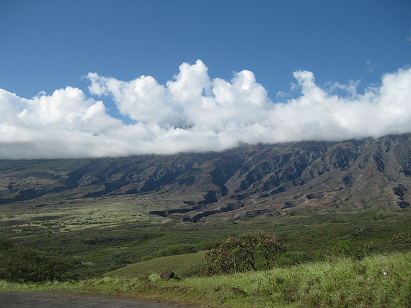 Maui 49