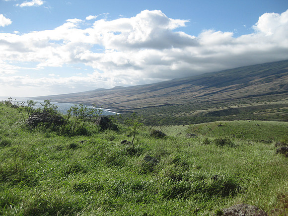 Maui 50