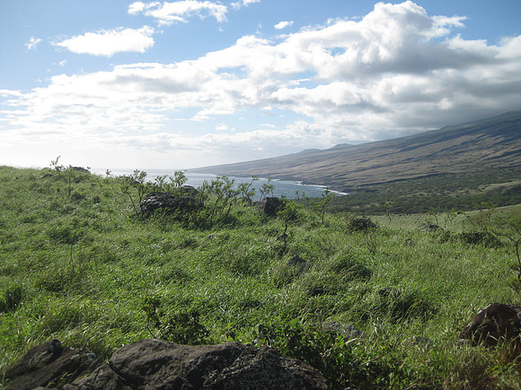 Maui 51