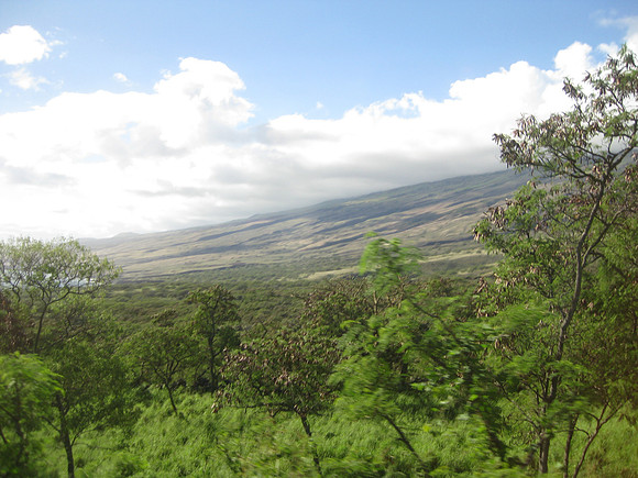 Maui 52