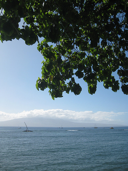 Maui 56