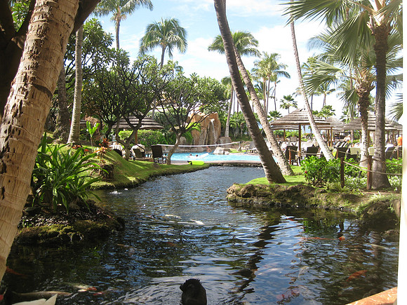 Maui 2