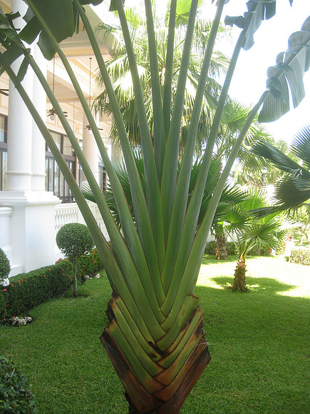 Cancun 8