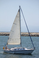 Los Angeles Activities 6