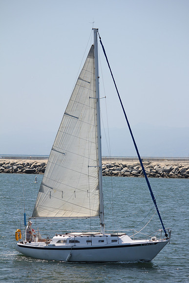 Los Angeles Activities 6