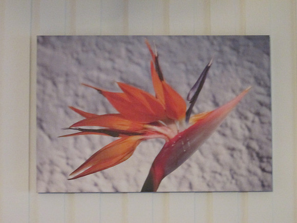 Wall Decor