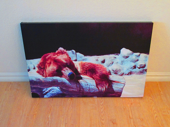 Canvas Wall Decor