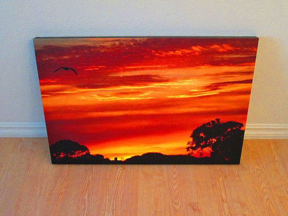Canvas Wall Decor