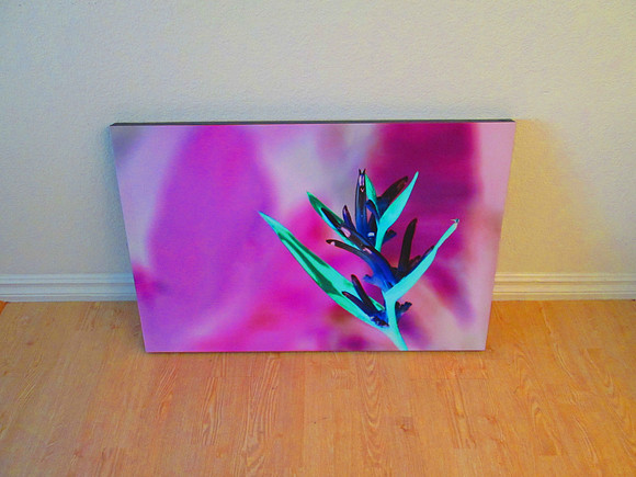 Canvas Wall Decor