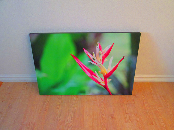 Canvas Wall Decor