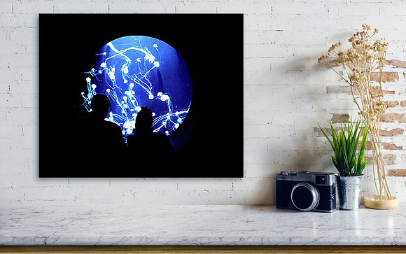 Weston Images Wall Decor