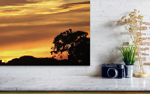 Weston Images Wall Decor