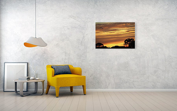 Weston Images Wall Decor