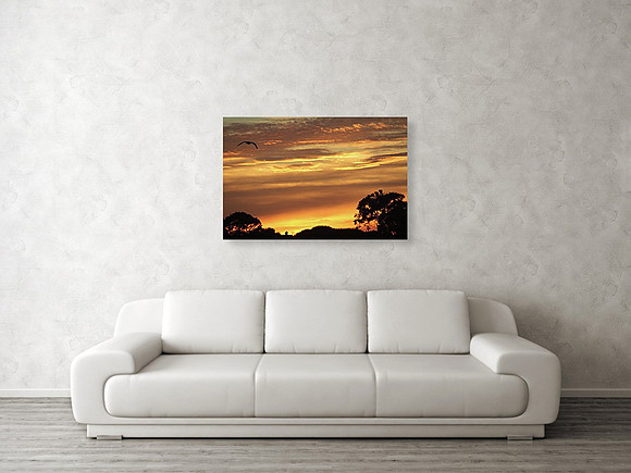 Weston Images Wall Decor