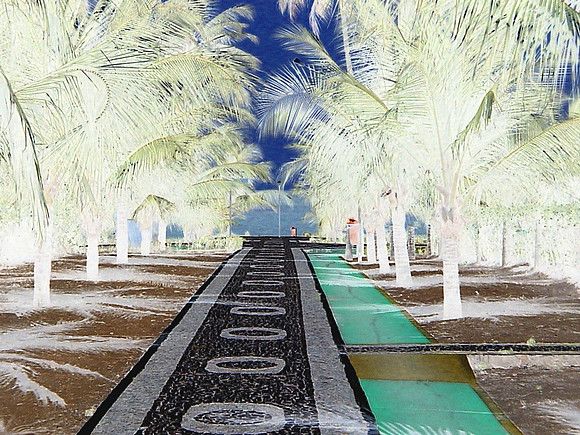 Brazil - Walkway to the Beach I