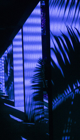 Blue Shadows