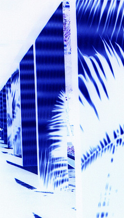 Blue and White Shadows
