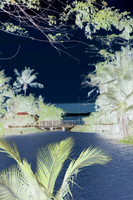 Paradise in The Seychelles 1