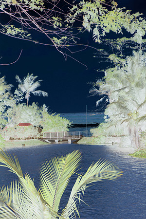 Paradise in The Seychelles 1